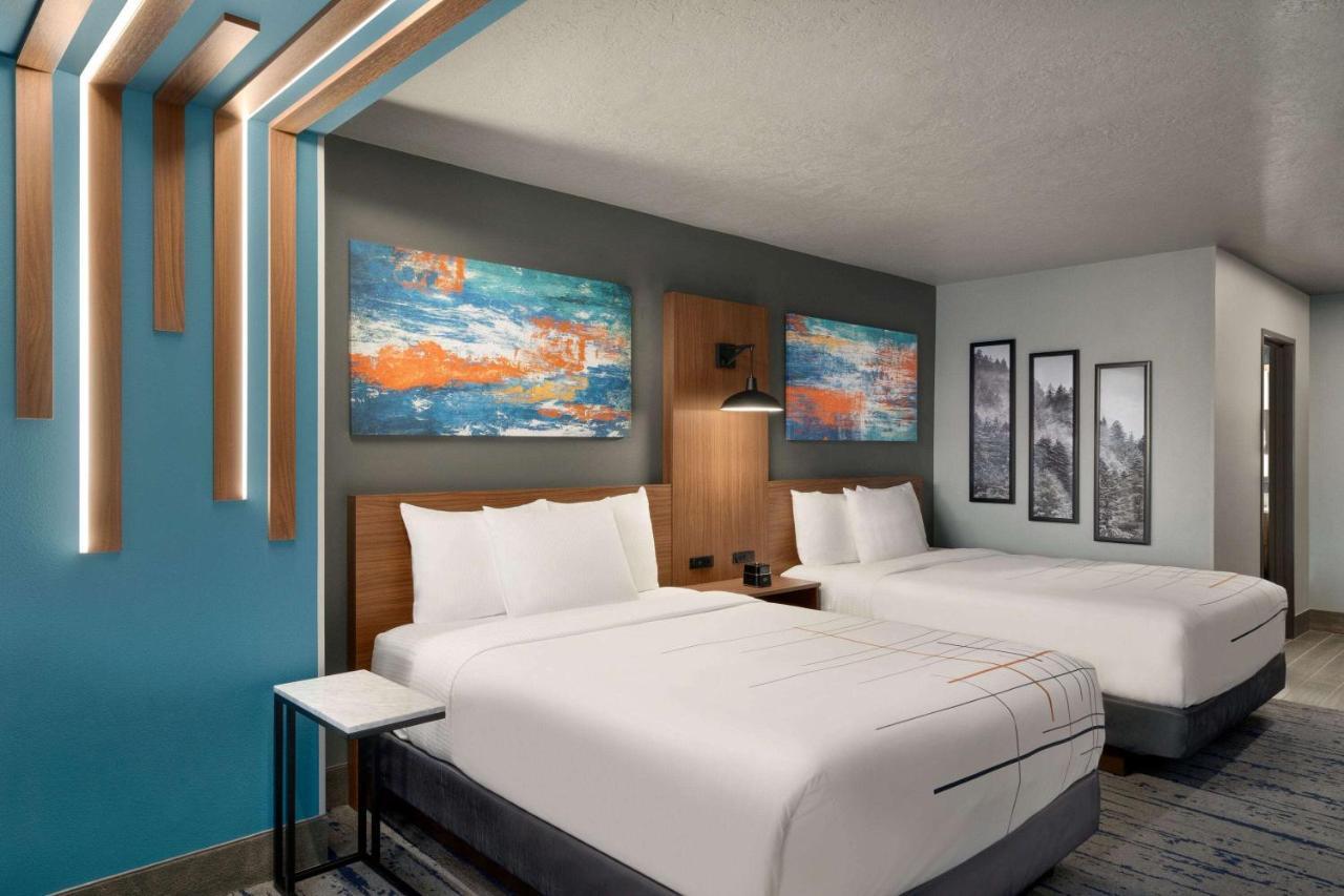 La Quinta Inn & Suites By Wyndham Springfield Dış mekan fotoğraf